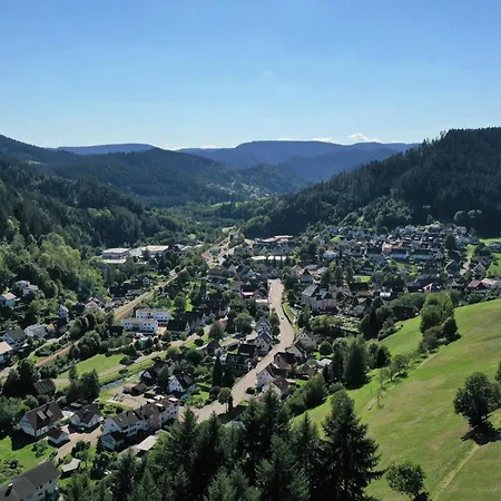 Schwarzwald Romantikhuette - Zweisamkeit - Mit Bettwaesche, Handtuecher Und Holz *