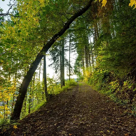 Camping Schwarzwald Romantikhuette - Zweisamkeit - Mit Bettwaesche, Handtuecher Und Holz